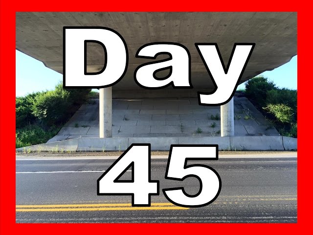 Robert Wimer | Day 45 | Somewhere Over The Rainbow