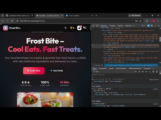 O-Tech Solutions | Food and Icecream Website for Your Buisness