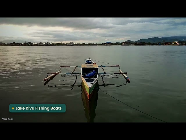 Rwanda's Lake Kivu, Terraced Hills to the Shore