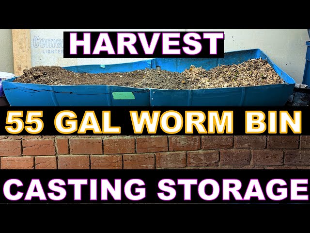 How to Keep Worm Castings ALIVE in storage- 55 Gallon Worm Bin