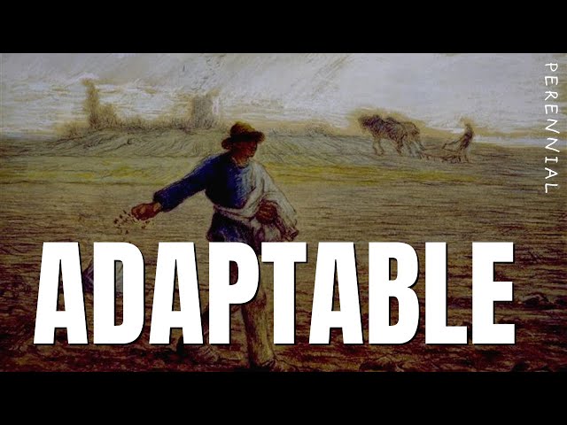 How to Be Adaptable | Stoic Philosophy
