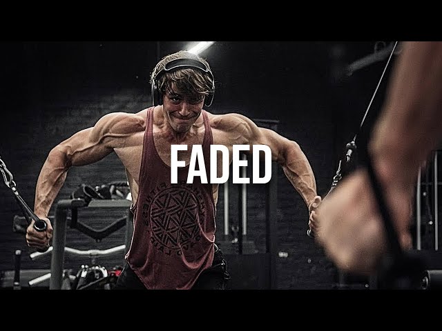 DAVID LAID x FADED (Slowed + reverb)