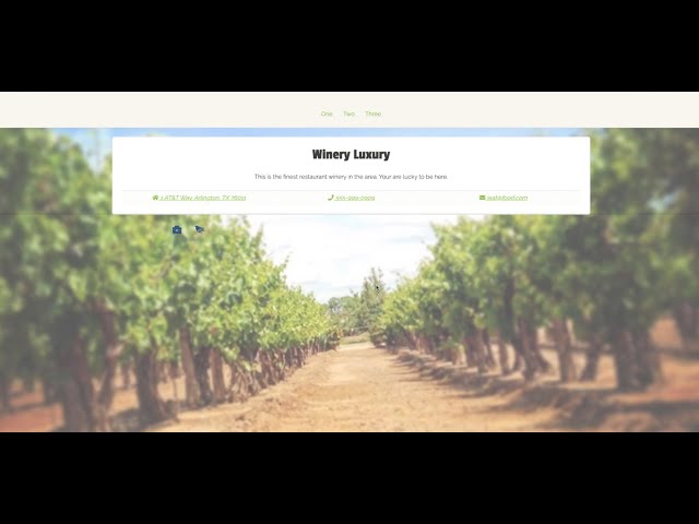 Any Restaurant Template - JavaScript Lesson 10 -   generate JSON data via HTML form