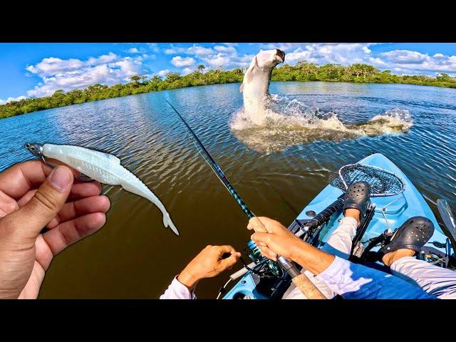 I Got LOST in the Backwaters & Found BIG Fish! (Tarpon & Snook)