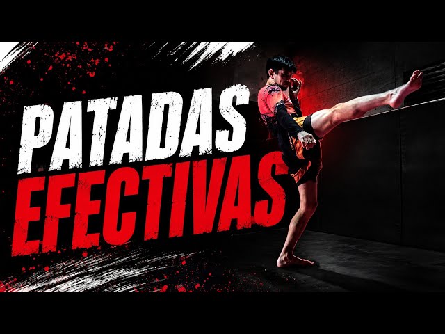 4 Most Used Kickboxing Kicks