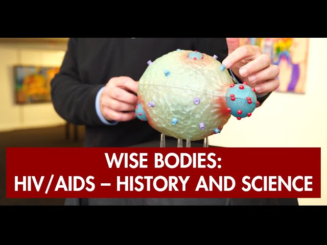 Wise Bodies: HIV/AIDS - History and Science