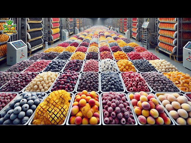 Frozen Fruits Mega Factory: Processing Millions Of Frozen Fruits With Modern Technology