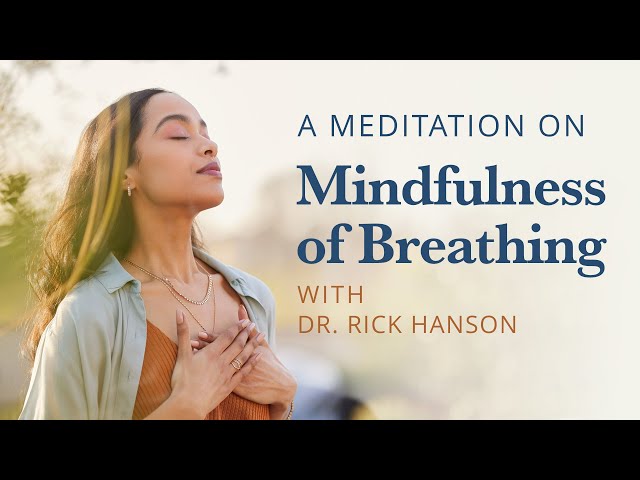 A Meditation on Mindfulness of Breathing: Traditional Steps with Rick Hanson