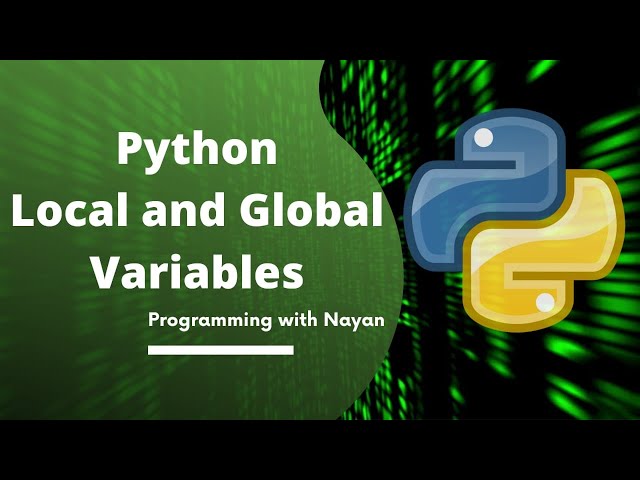 #8 Python Basics for Beginners | Global and local variables