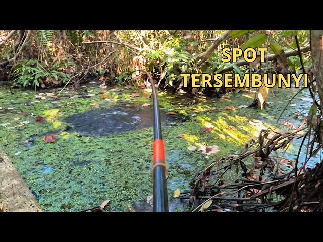 Risking it all by trekking off the beaten path to find a new fishing spot!