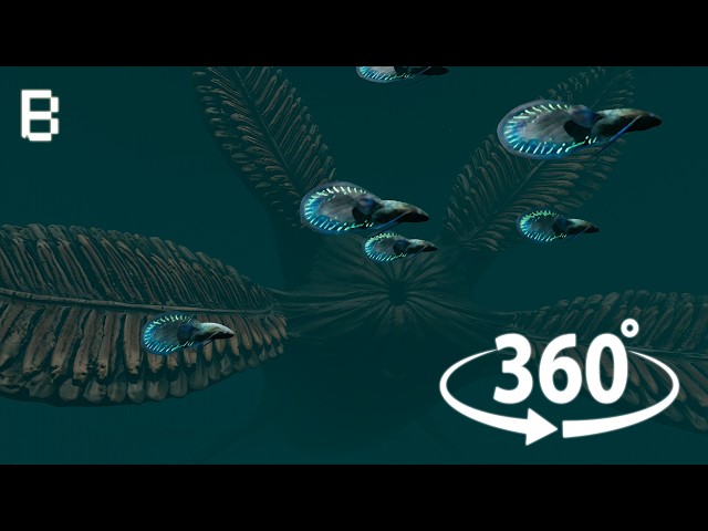 Unexplored Oceans 360° VR | BEthere Experience Series Episode 1