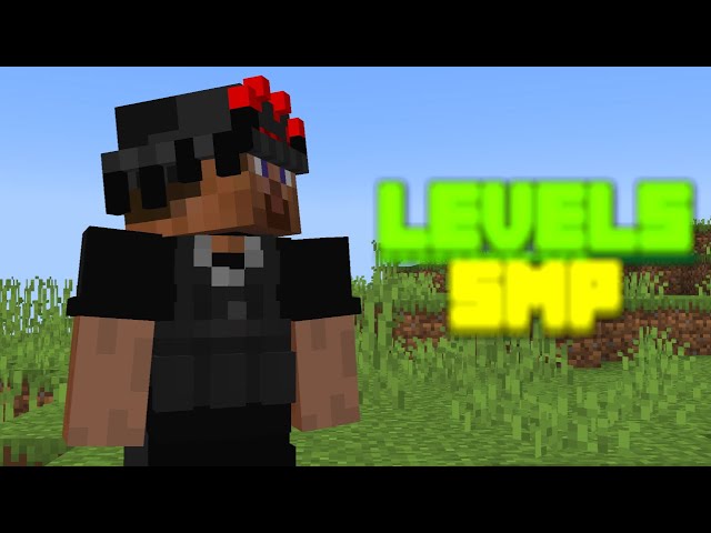 Yungwill's thoughts on the Levels SMP..