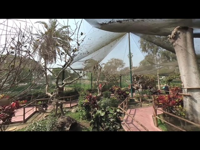 Peru - Lima - Parque de las Leyendas 21