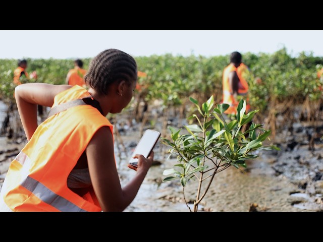 Freetown's inspiring transformation through nature and water