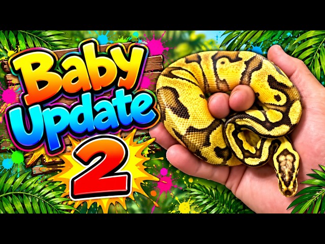 Baby Update Pt 2