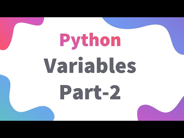 Assigning Values to Variable and Type Function| Class 11 / 12 IP | Informatics Practices Python