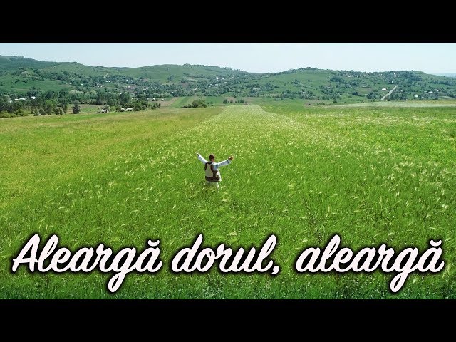Dan Doboș - Aleargă dorul, aleargă (videoclip oficial)
