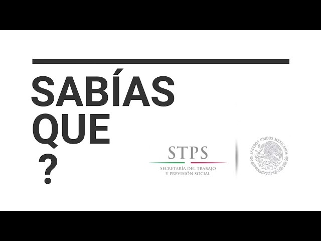 Las Normas de la STPS se dividen en 5 tipos