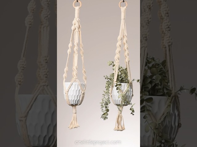 Macrame Plant Hanger🪢 🪴