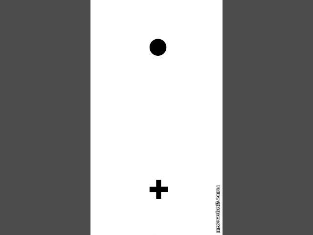 Take This Test to Find Your Blind Spot 🧐