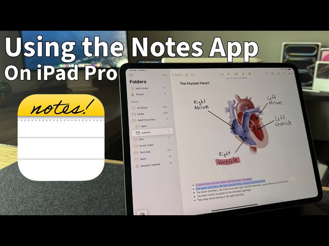 How to get the most out of the Notes app on iPad Pro! (Note taking tips and tricks!)