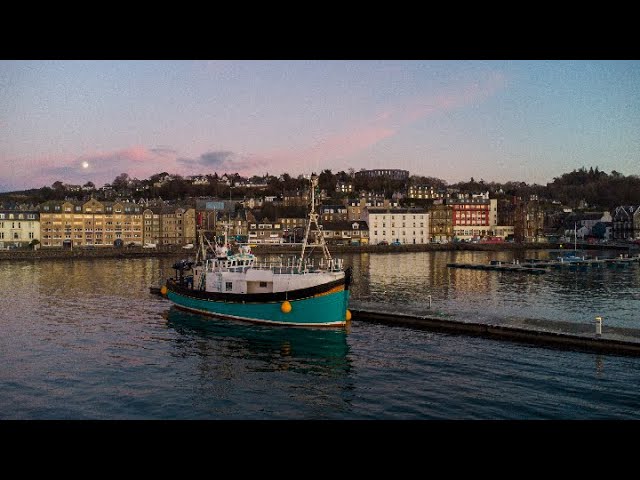 Skarvlines- Scottish Adventure Cruises