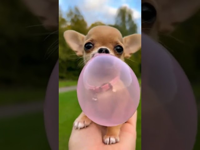 Como ele fez isso? Transformou lixo em obra de arte #arte #reciclagem #inovacao