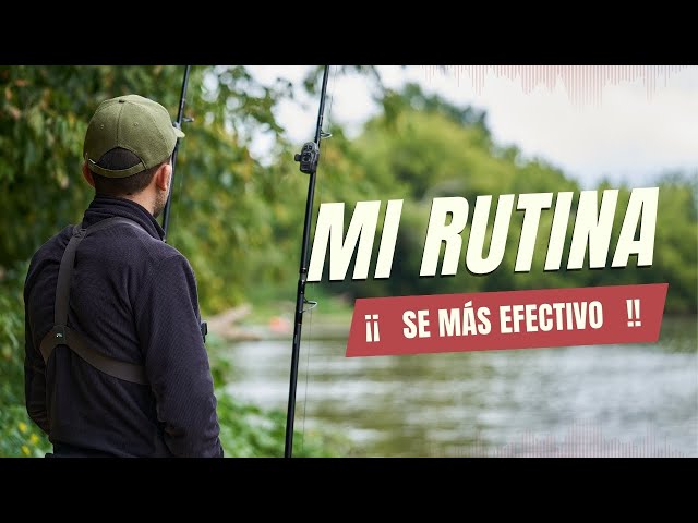 Mi ESTRATEGIA para pescar SILUROS. Se mucho más EFECTIVO.