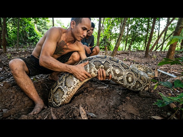 Giant Python Crawls Into a Mysterious Cave – Explorers Discover a Human Skeleton Nearby!