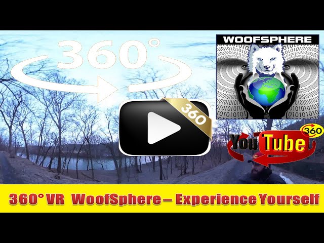 360 Videos | VR | Virtual Reality | WooFSphere | Husky Dog Cruising picking up on a scent