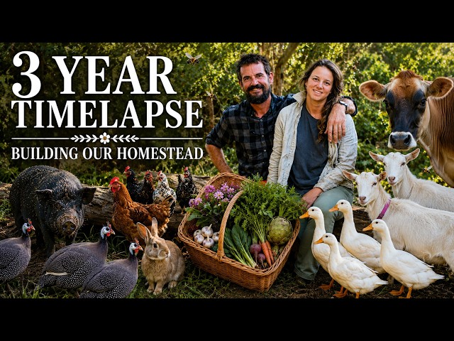 Turning abandoned land in rural Australia into a homestead | Our 3 year journey