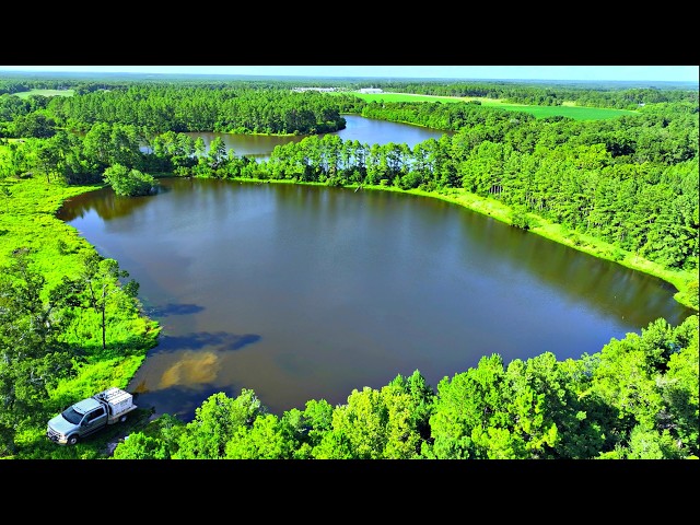 Restoring A 50 Year Old Abandoned Pond! (Adding Fish)