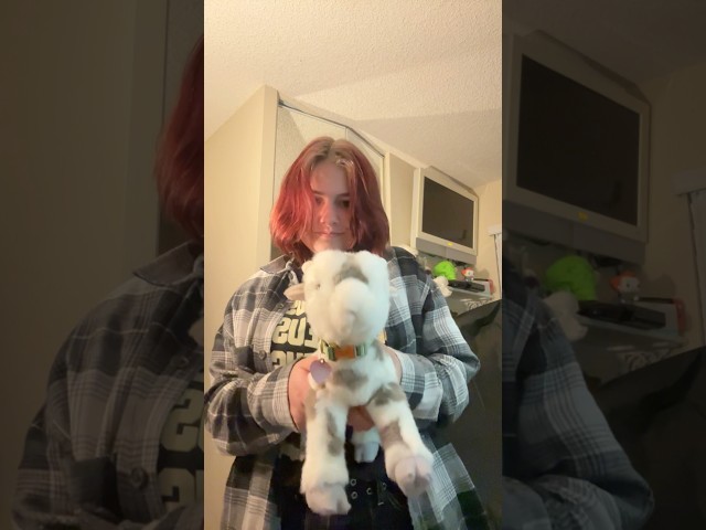 ESSA means Emotional support stuffed animal :3 #essa #stuffedanimals #furry #therian #cringe #lgbt
