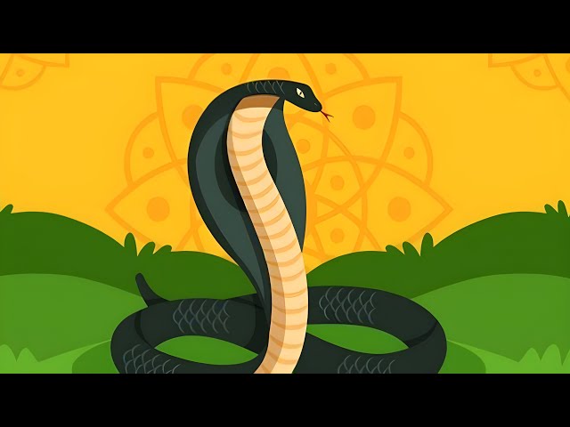 500+ Python Exercises: Practical Python Challenges 2025