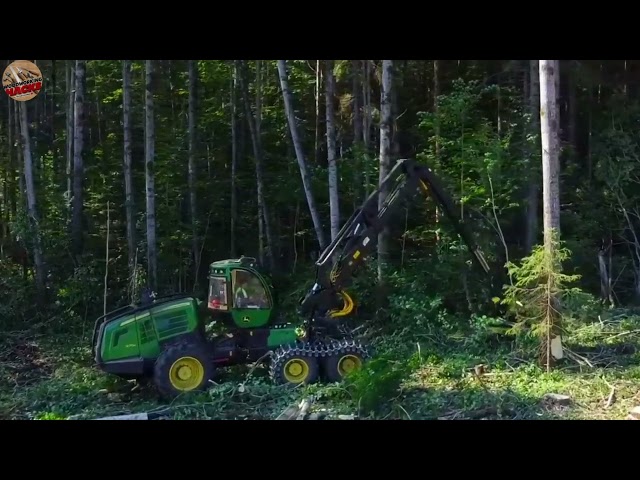 How Harvesters Revolutionize Forest Management: The Ultimate Logging Machine!