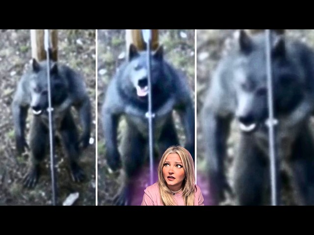 TERRIFYINGLY Haunting CRYPTIDS, Paranormal & Unexplained SCARY Encounters