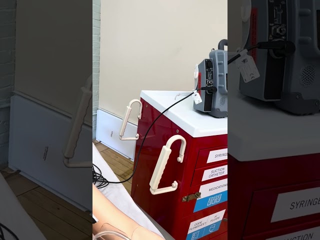 Mega code Kelly Explained
