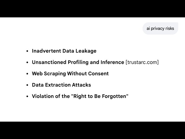 Help Me Understand The Privacy Risk Of AI