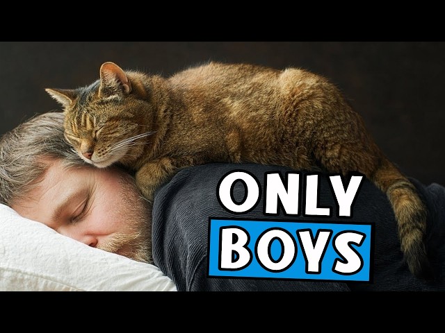 Why Your Male Cat Sleeps With You - It Means More Than You Think