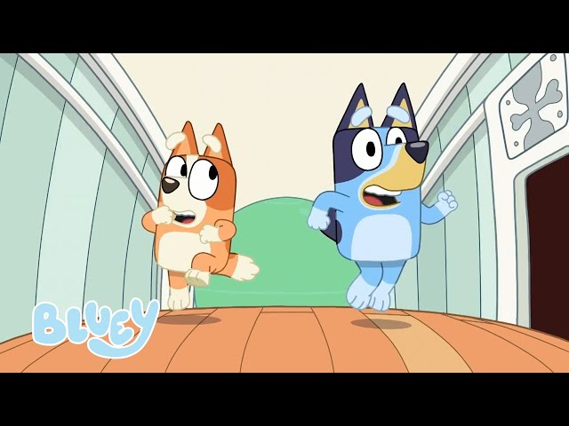 Bluey Temporada 1 Episodios Completos | Bluey 💙 Español Canal Oficial