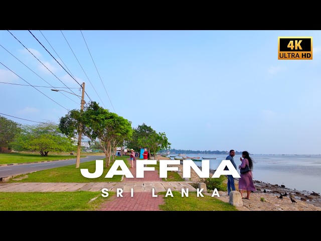 Walk Along Pannai Beach - Jaffna, Sri Lanka | 4K Ultra HD Virtual Tour