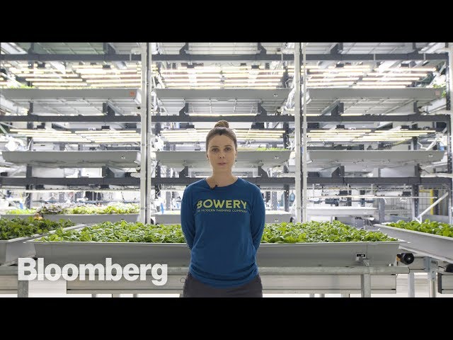The High-Tech Vertical Farmer
