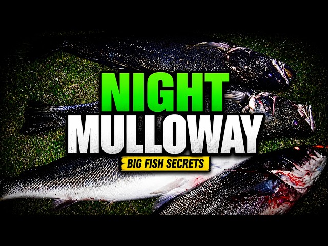 Mulloway Night Fishing: Secrets to Hooking Big Fish