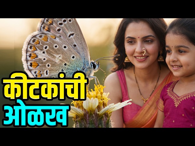 Learn Bugs, Insects and Reptiles Fun Facts and Names in English and marathi(मराठी) for Toddlers