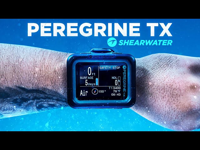 It's Here - The Shearwater Peregrine TX