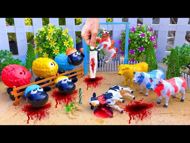 wadidau ‼️ proses potong sapi kurban | new cow video 64 | new cow vlog | kerbau  | Super Toys