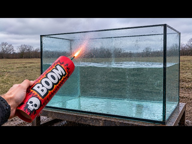 EXPERIMENTS: What Happens to a Giant Aquarium When You Add THIS?