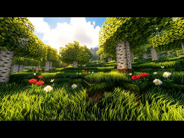 If you combine this SHADER with this TEXTURE PACK your Minecraft will look GORGEOUS