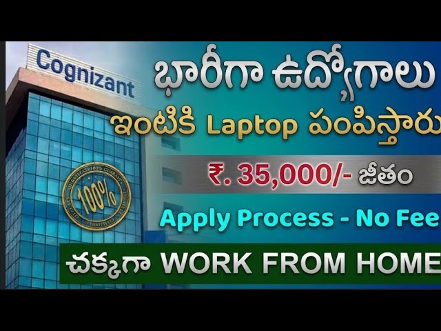 Latest jobs in Cognizant 2026 | Any degree | Freshers and experienced | 35000 salary
