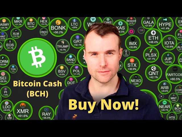 Bitcoin Cash - Don't Wait! ⚠️ BCH Crypto Token Analysis